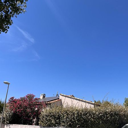 Villa Des Romieux Pinet  Exterior foto
